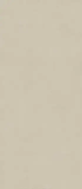 Boost Natural Pro Cinder 120x278 - 6mm