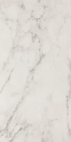 ROMA STONE 60X120 CARRARA DELICATO MATT R9