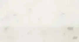 ROMA CLASSIC 30,5 CARRARA ALZATA