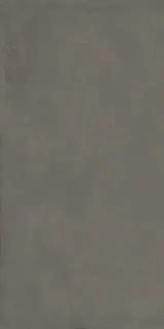 Plate Anthracite 60X120 R9 RT