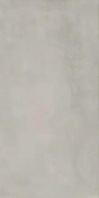 Plate Silver 60X120 R9 RT