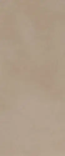 MILANO MOOD 50X120 BISCOTTO MATT