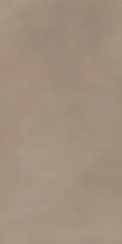 MILANO MOOD 60X120 BISCOTTO MATT R9