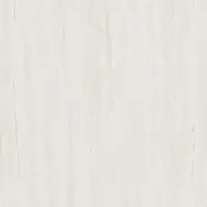 Marvel Bianco Dolomite 60x60