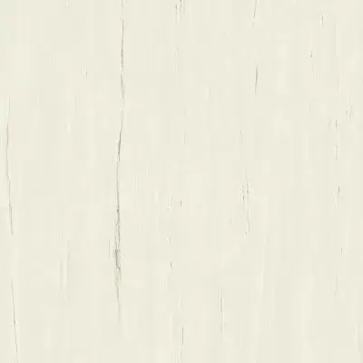 Marvel Bianco Dolomite 120x120