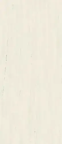 Marvel Bianco Dolomite 120x278 Lappato