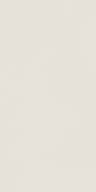 Elements Design WHITE 30X60 R10 RT