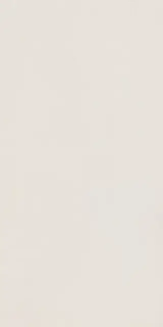 Elements Design WHITE 60X120 R9 RT