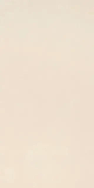 Elements Design IVORY 60X120 R9 RT