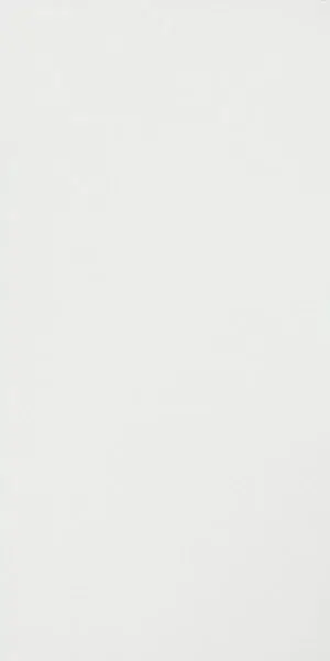 Solid White Glossy 40x80