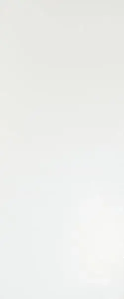 Solid White Matt 50x120