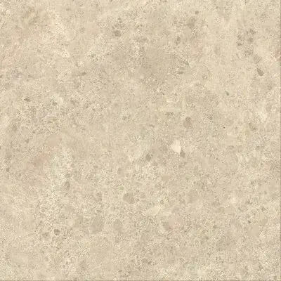 Nyra Ambrosia 120x120