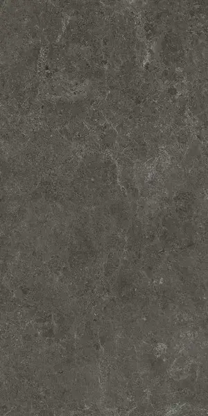 Nyra Charcoal 60x120