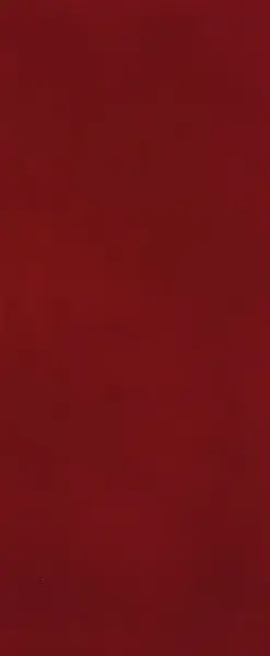 MATERIA BRILLANTE 50X120 BORGOGNA BRILLANTE