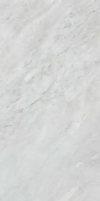 Versilia Bardiglio Silver 60X120 Lappato