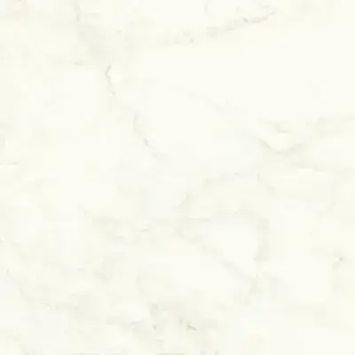 Marvel Calacatta Delicato 120x120 Matt