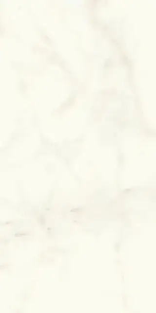 Marvel Calacatta Delicato 60x120 Matt