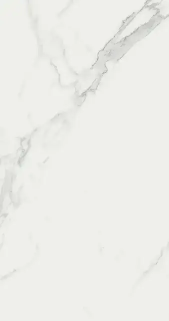 Marvel Calacatta 50x120