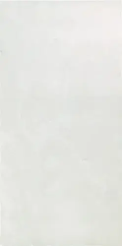 Marvel Moon Onyx 45x90 Lappato