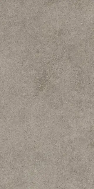 Forte Dei Marmi Rock Lunar Grey 60x120 LASTRA 20mm