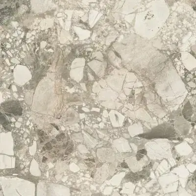 Forte Dei Marmi Ceppo Apuano Cream Rett 80x80