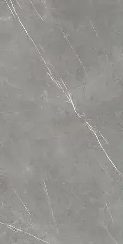 Forte Dei Marmi Elegant Grey 80x160 Lapp