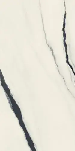 Forte Dei Marmi Panda White Rett 60x120 Cerato