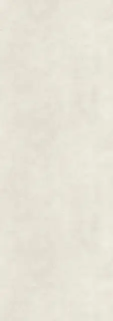 Fokos Talco 100х300 3+