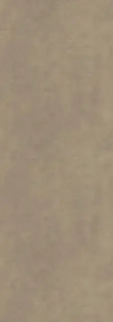 Fokos Rena 100х300 3+