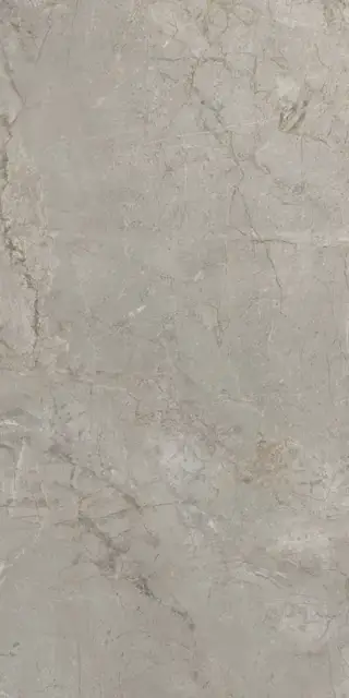 Elements Lux Silver Grey 60X120 Silk