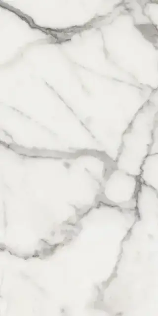 Elements Lux Calacatta 60X120 NAT