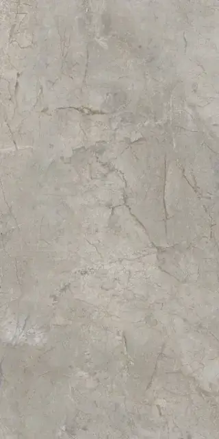 Elements Lux Silver Grey 60X120 Lappato