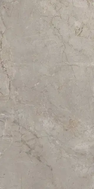 Elements Lux Silver Grey 60X120 NAT