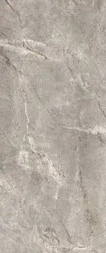 Elements Lux Silver Grey 120X278 Lappato