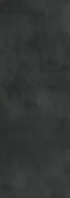 Calce Nero 100х300 5