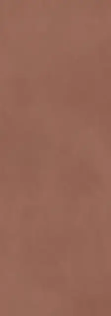 Calce Terracotta 100х300 3+