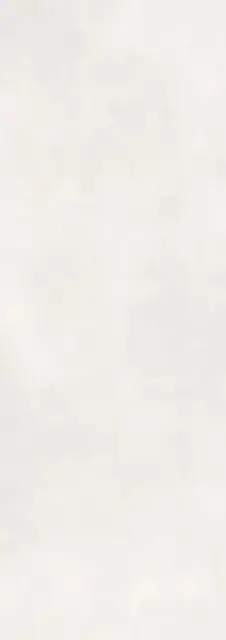 Calce Bianco 100х300 5