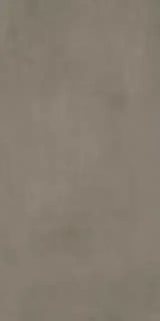 Boost Pro Taupe 60x120