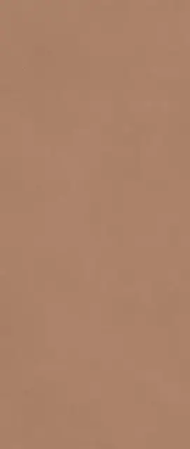 Boost Expression Sienna 50x120