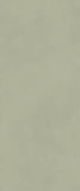 Boost Expression Olive 50x120