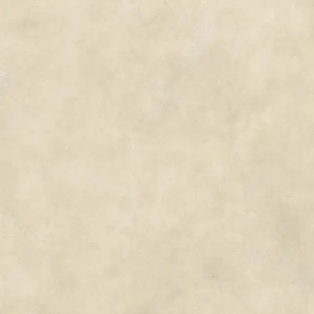 Boost Expression Camel 120x120