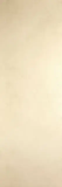 Blend Avorio 100х300 3+