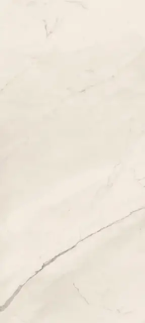 Керамогранит TREX6 278W RM 120x278