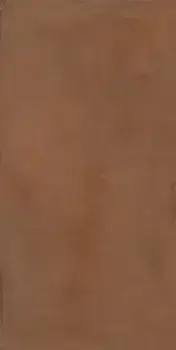 Керамогранит TERRA 12R RM 60x120