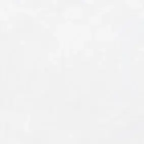 Керамогранит 20403 Taco Blanco Mate 4.6*4.6