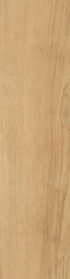 Керамогранит Rovere Naturale 10x40