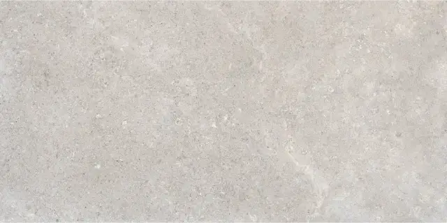 Керамогранит RB92 Coquille Gris Matt-Pro Rett 60x120