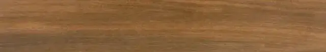Керамогранит Rainier Nogal 20x120