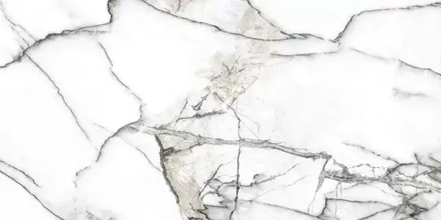 Керамогранит Premiere White Ep 60x120