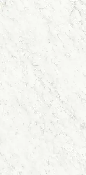 Керамогранит PL612555 Bianco Carrara Lucidato ret 60x120